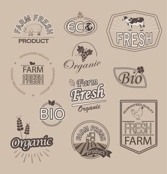 Set of badges and labels elements for organic and farm fresh food, vector.