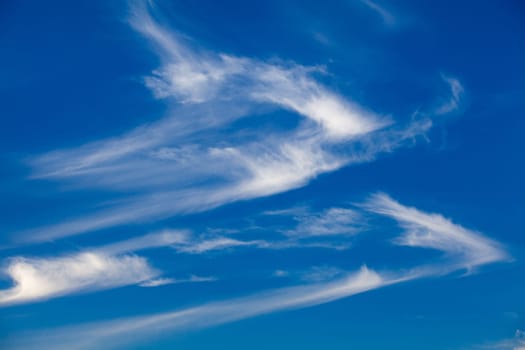 blue sky with cloud. Nice white cloud on the sky.