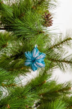Christmas concept with baubles.  Xmas ball
