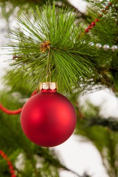 Christmas concept with baubles.  Xmas ball