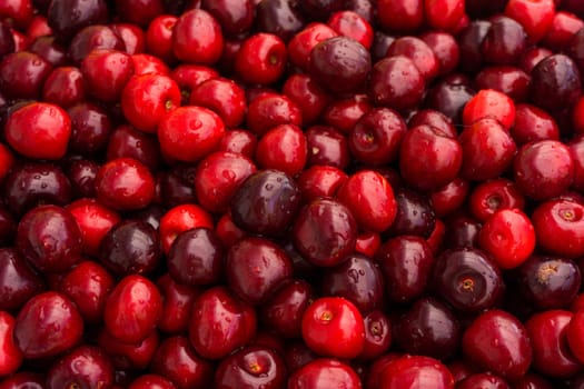 Sweet cherry.  cherry background