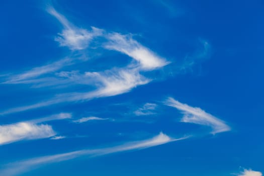 blue sky with cloud. Nice white cloud on the sky.