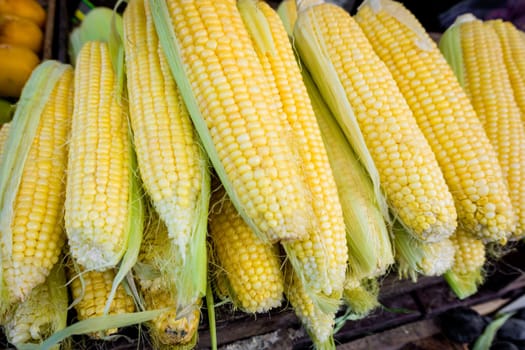 fresh corn. Corn for sale at farmers market