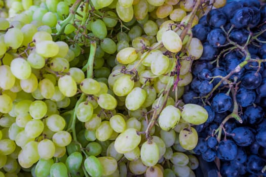 Grape. Wine grapes background.Dark grapes, blue grapes, white grapes,Grapes an market