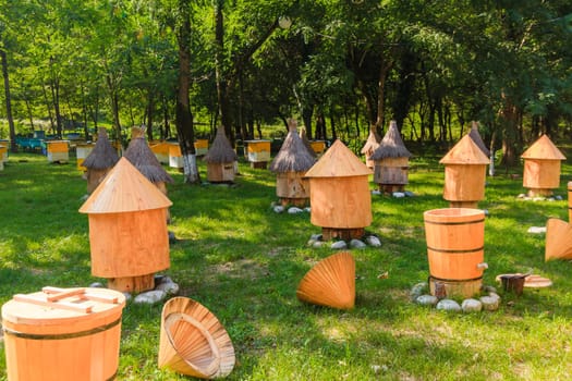 Apiary honey bee house . Bee, honey, bee house, honeycomb. Honey natural healthy food production