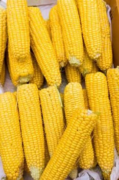 Corn cobs