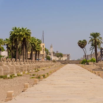 Egyptian sphinxes