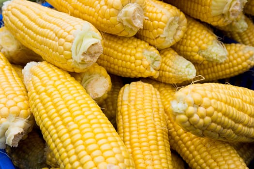 Corn cobs