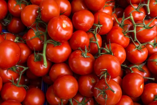 fresh tomatoes. red tomatoes background. Group of tomatoes