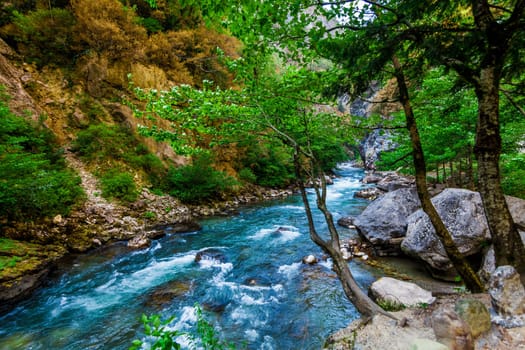 Beautiful view of mountain river in summer. Mountain river in the forest. Abkhazia. Beutiful landscape