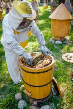 Beekeeper on apiary.  Working apiarist.  Beekeeper holding frame of honeycomb
