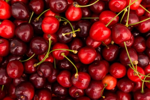 red cherry background.  Red ripe delicious cherries