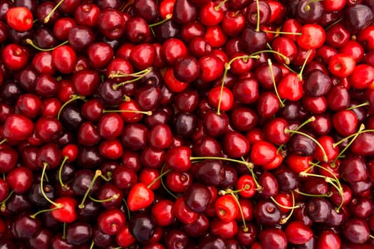 red cherry background.  Red ripe delicious cherries