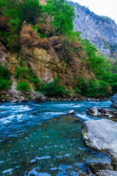 Beautiful view of mountain river in summer. Mountain river in the forest. Abkhazia. Beutiful landscape