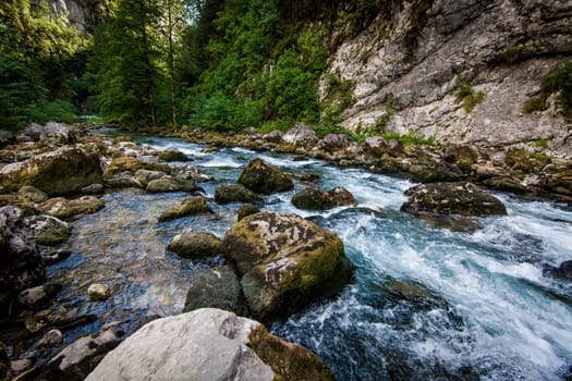 mountain river. Nature composition.  landscape with mountains trees and a river