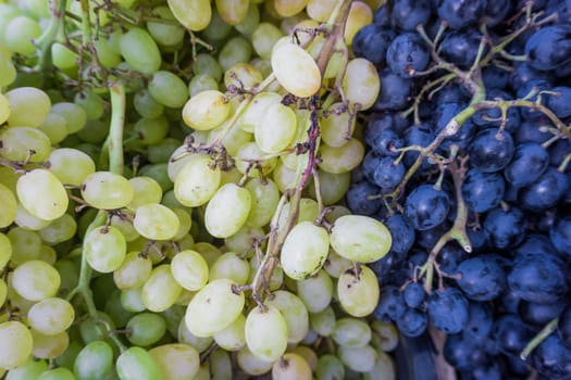 Grape. Wine grapes background.Dark grapes, blue grapes, white grapes,Grapes an market