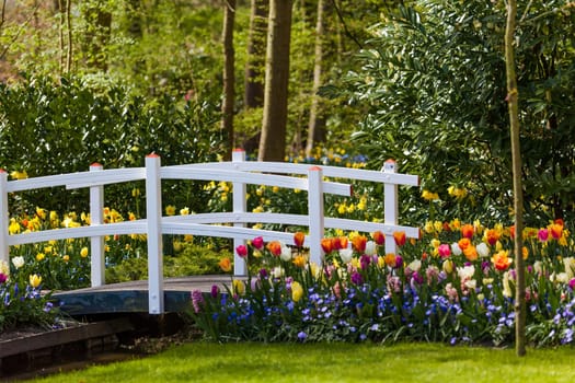Beautiful garden in spring.  Beautiful park