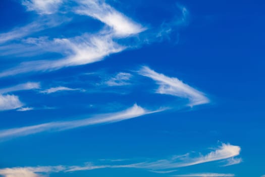 blue sky with cloud. Nice white cloud on the sky.