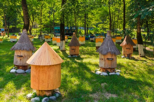 Apiary honey bee house . Bee, honey, bee house, honeycomb. Honey natural healthy food production