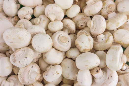 fresh champignons. Champignon mushrooms  background