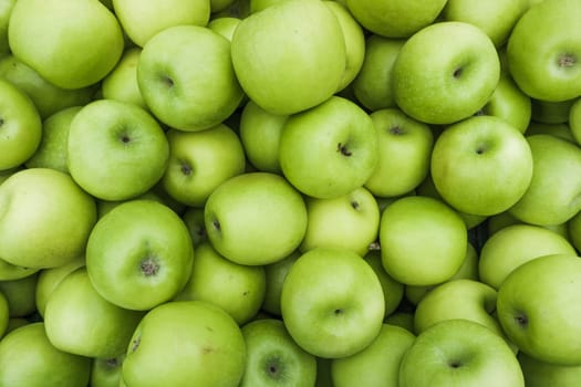 Green Apple Background