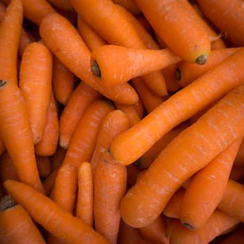 Carrots. Fresh organic carrots. Background texture of carrots.