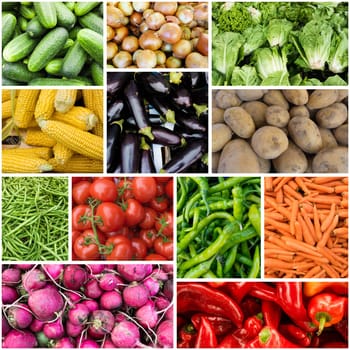 Different raw vegetables background.Healthy eating. vegetables collage
