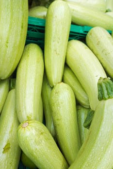 Zucchini at the market.  Fresh green zucchini