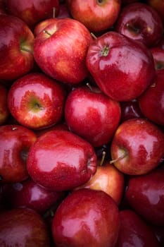 apples close up at market. Red apples background