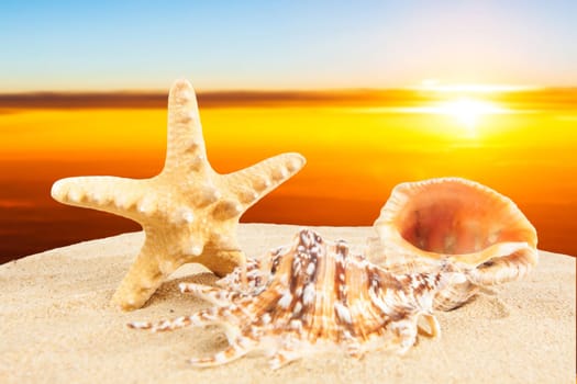 Summer time background. Summer concept