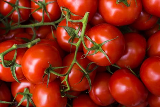 fresh tomatoes. red tomatoes background. Group of tomatoes
