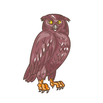 Drawing sketch style illustration of an owl standing observing looking to the side viewed from front set on isolated white background.