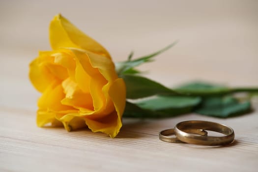 yellow rose and wedding rings lie on a table