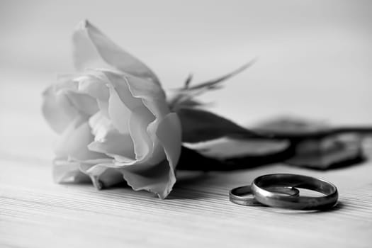 Rose and wedding rings lie on a table