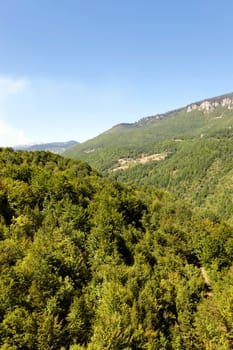 the mountains covered with various trees, other plants, Montenegro