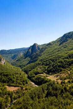 the mountains covered with various trees, other plants, Montenegro