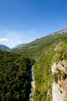 the mountains covered with various trees, other plants, Montenegro