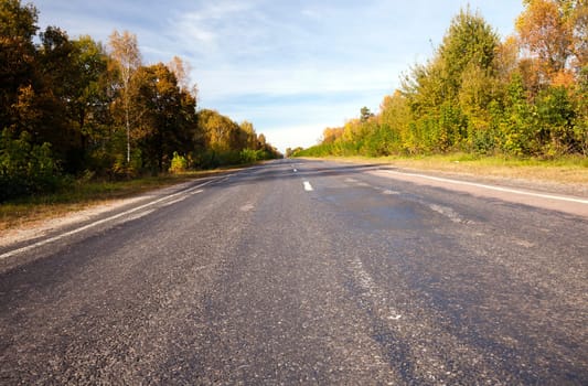 paved public road. On the sidelines of growing deciduous trees. Autumn.