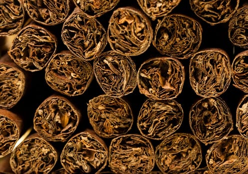 put together a small cigar, close-up, lots of cigarillos