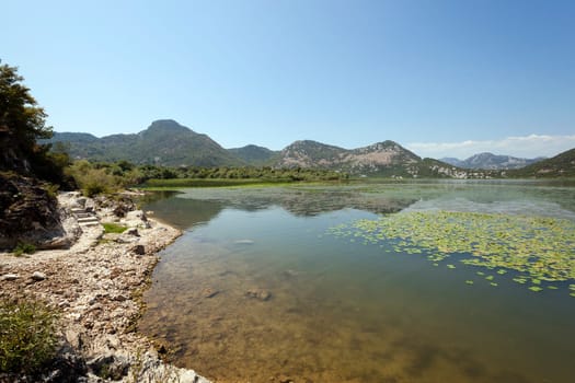 Lake Skadar located in Montenegro in summertime of year