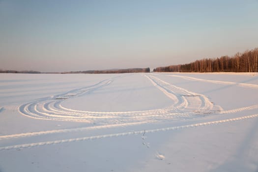 the marks of the wheels of the car in a field covered with snow. Around the trees of the field.