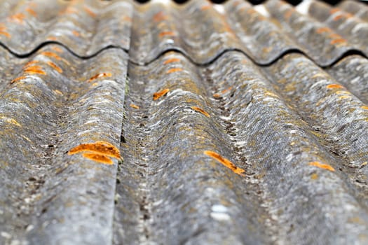 slate covering the roof of the building. On the slate visible light green moss and mold. Shallow depth of field, close-up photo