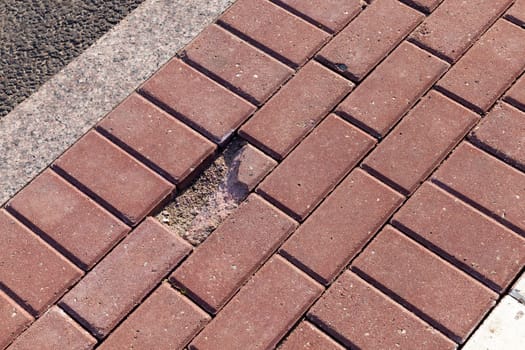 photographed close-up part of the road made of cobblestones, which was eventually spoiled