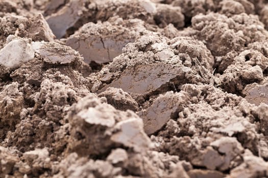 on a plowed field agricultural land intended for planting and growing food