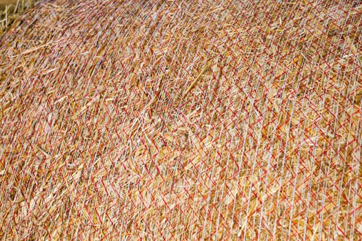 Agricultural field on which stacked straw haystacks after the wheat harvests