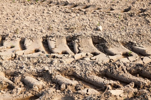 traces from wheel plowed agricultural field remaining after the special equipment