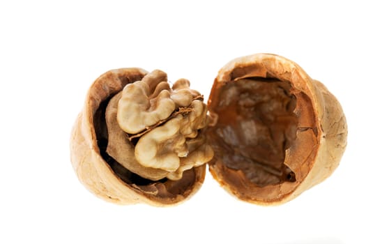 isolated on white background break the shell of a walnut yellow