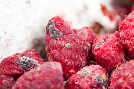 photographed ripe red raspberries, which appeared mold, a small depth of field