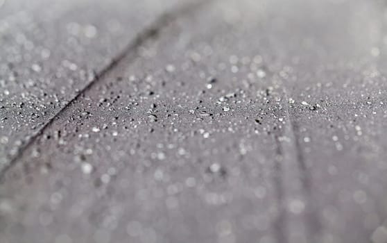 photographed close-up of water droplets that are on the black umbrella after the rain, a small depth of field
