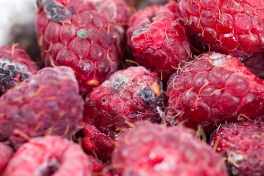 photographed ripe red raspberries, which appeared mold, a small depth of field